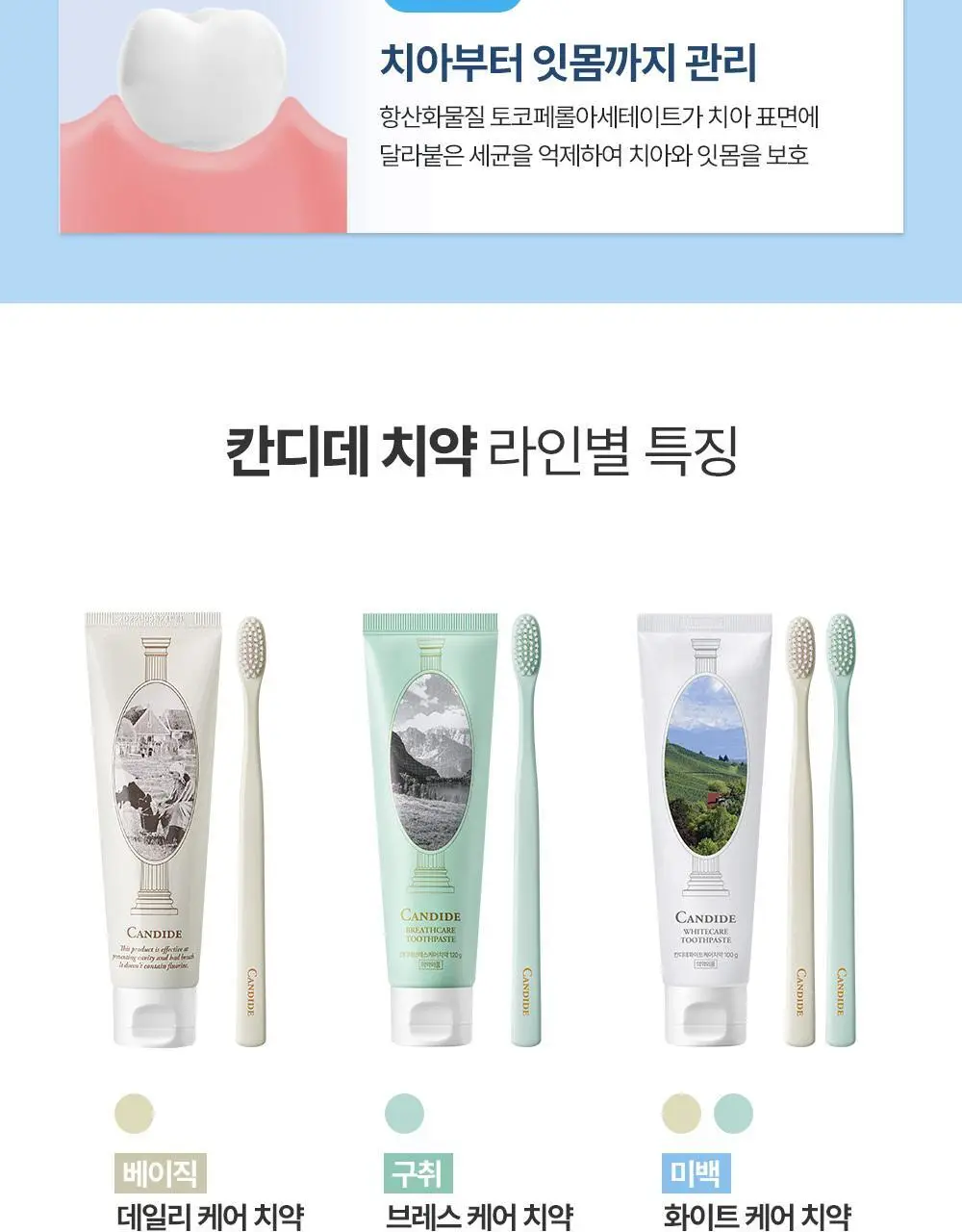[치아미백] 칸디데 화이트케어 치약 100g 상세페이지 30